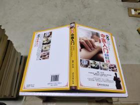 图解中医入门：祛病养生宝典