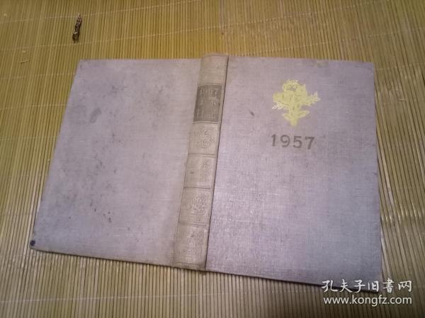 1957美术日记