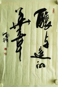 名家字画 中国美术家协会广西分会会员 蔡发祥 字画 书法作品 。