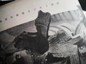 写真时报 大正四年11月号，御大礼，御庭苑，东北大演习，露国加农炮