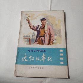 火红的年代：电影文学剧本