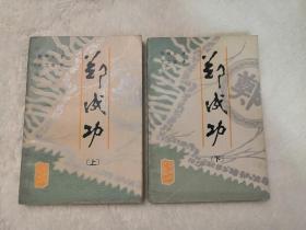 文学小说类书籍：旧书 郑成功 上下两册全