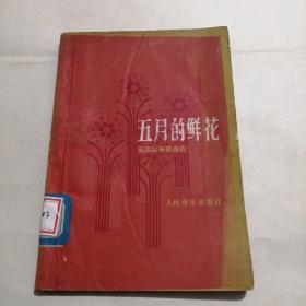 五月的鲜花