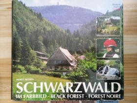 SCHWARZWALD 德国黑森林 风景 人文 建筑 历史 画册