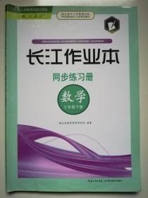 长江作业本 同步练习册 数学 七年级下册