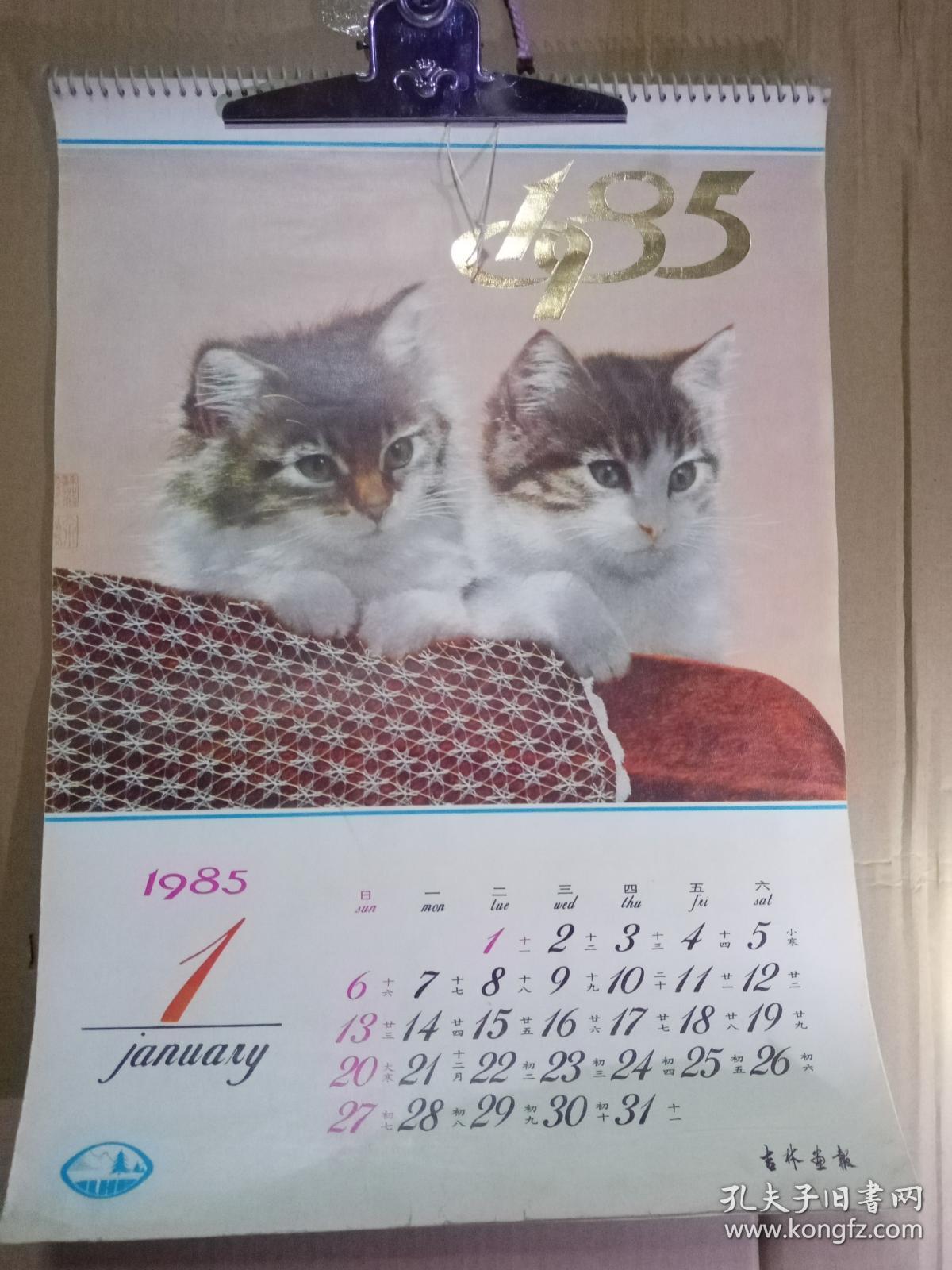 1985  月历  猫