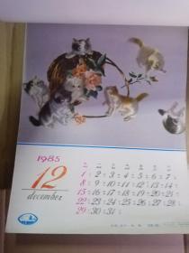 1985  月历  猫