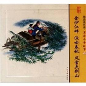 精品连环画：革命斗争故事2套装共3册：金沙江畔、渔女春秋、风雪大别山