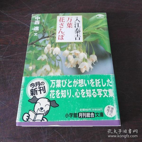 入江泰吉 万叶花さんぽ(小学馆文库版，日文原版，有护封）