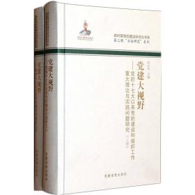 党建大视野：党的十七大以来党的建设和组织工作重大理论与实践问题研究（套装共2册）