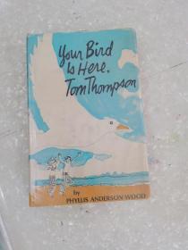 Your Bird Is Here Tom Thompson