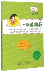 一块孤独石 5周年纪念升级版、