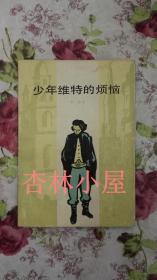 少年维特的烦恼
