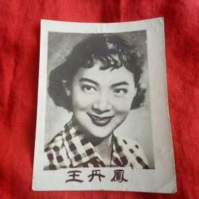 中国电影女演员王丹凤个人黑白照3张包真保老  包邮