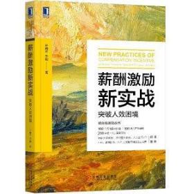 薪酬激励新实战：突破人效困境