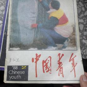 中国青年。1988年，国民党子女。至台湾同胞的信。