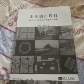 城市设计研究丛书·安全城市设计：基于公共开放空间的理论与策略