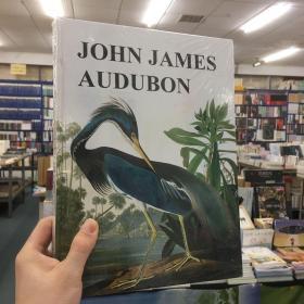 John James Audubon 约翰·詹姆斯·奥杜邦美洲鸟类插画