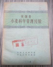 安国县小麦科学管理经验