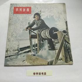 农民画报1958年（第22期）