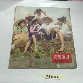 农民画报1958年（第26期）