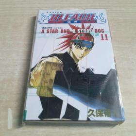 BLEACH 境界 漫画   11