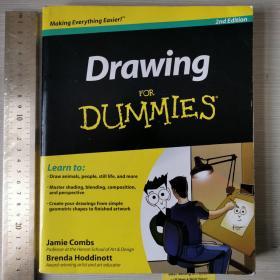 Drawing for dummies