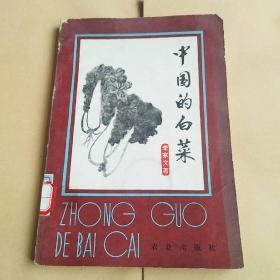 中国的白菜
