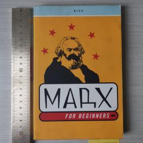 Marx for beginners karl  Marx a biography