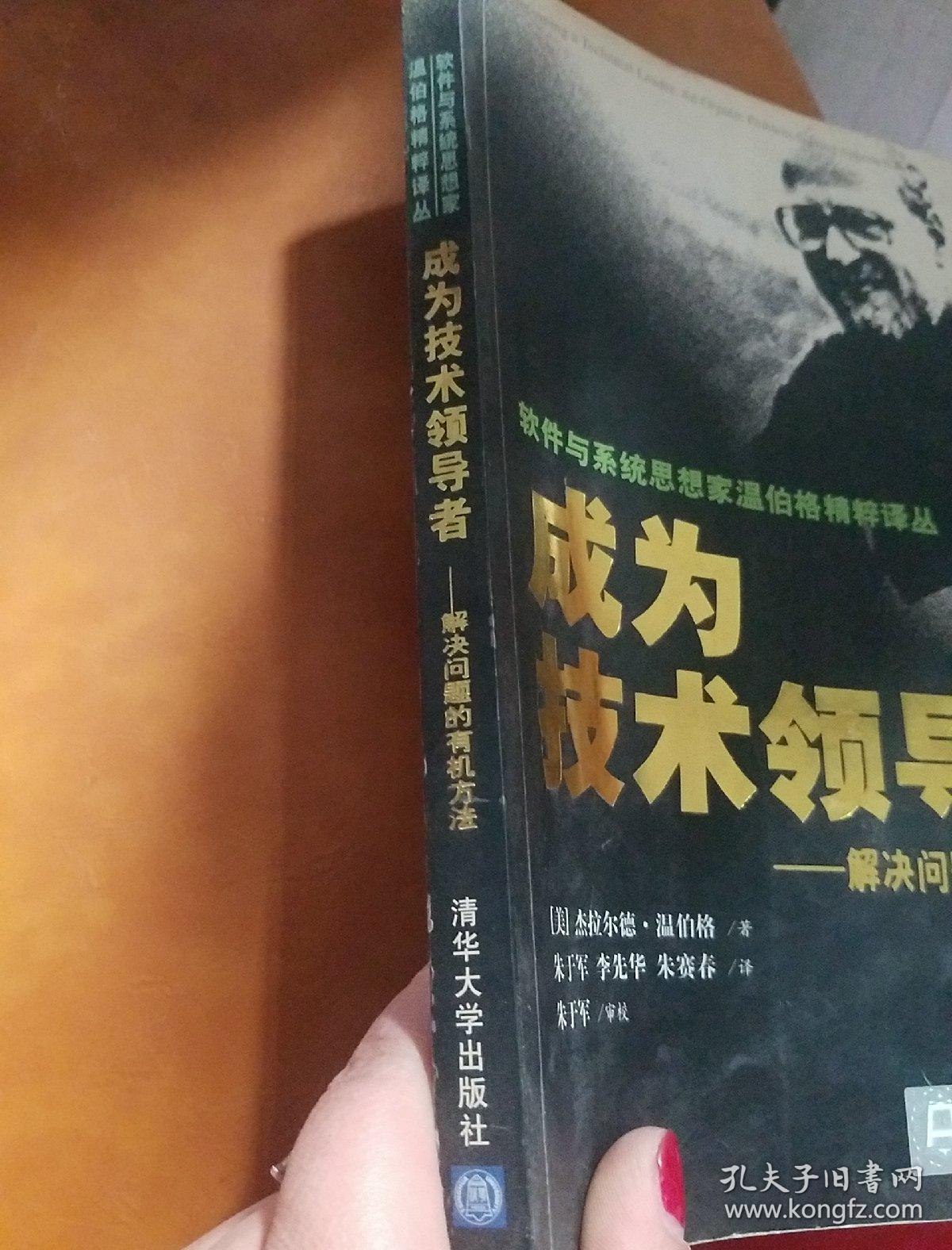 成为技术领导者：解决问题的有机方法