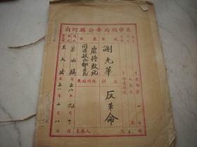 1958年-白河县公安局预审卷【同谋致死翻身农民案】起诉意见书，刑事判决书12面