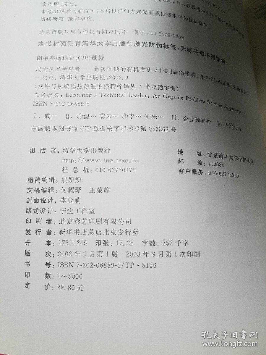 成为技术领导者：解决问题的有机方法