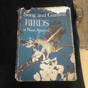 Song and garden birds of north america 北美的夜莺和花园鸟 布面硬精装 380元m01