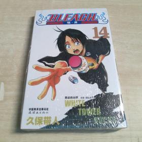 BLEACH 境界 漫画   14