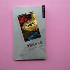 一版一印，《身影离开大地》