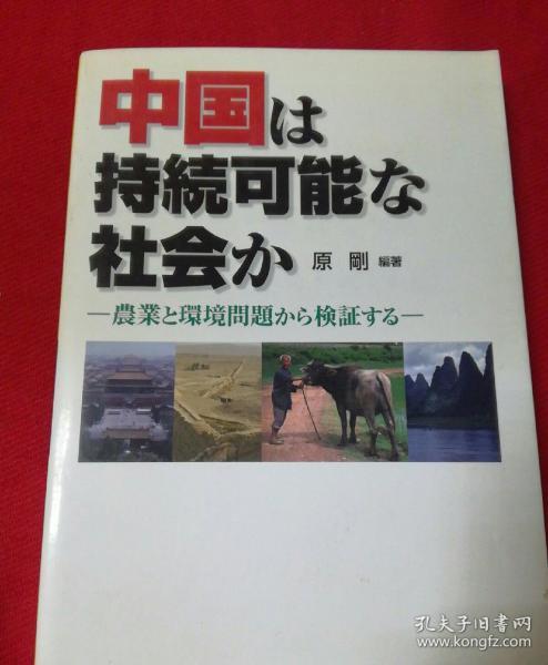 中国农业环境问题 （日文原版  原刚编著）