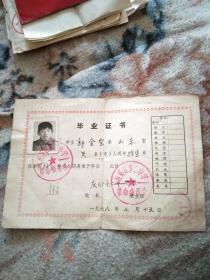 毕业证