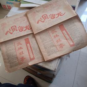 报纸：武林故事【飞凤潜龙 第1期第2期 】