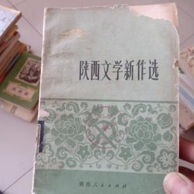 陕西文学新作选
本书收有陈忠实的早期作品:接班以后，