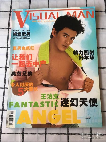 视觉质男 2006年第八斯 王泊文