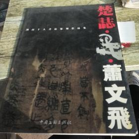 楚志.墨湖南十人书法篆刻作品集。