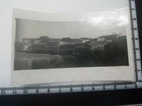 老照片  哈尔滨军事工业大学（哈工大）体育馆全景  1970年