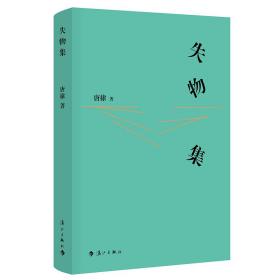 失物集（青年作家、先锋导演唐棣散文集，于坚、孙甘露名家推荐！）