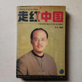 走红中国:形象策略师魏正和他的案例精粹