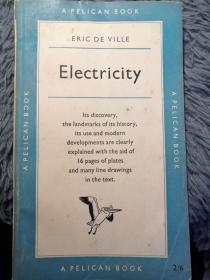 ELECTRICITY BY ERIC DE VILLE 插图版  鹈鹕经典系列 PELICAN 18.2x11cm
