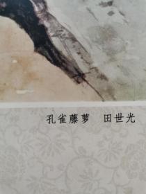 1979年年历画（孔雀）