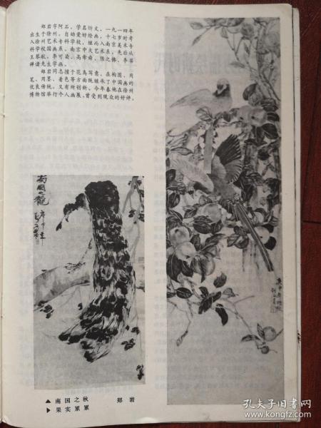 美术插页郑岩国画《南国之秋》《果实累累》，（单张）