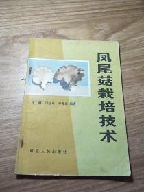凤尾菇栽培技术