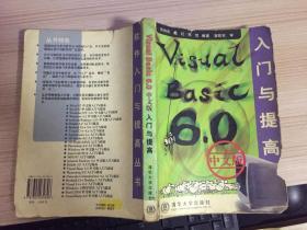 Visual Basic 6.0中文版入门与提高