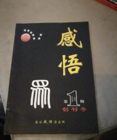 感悟 创刊号